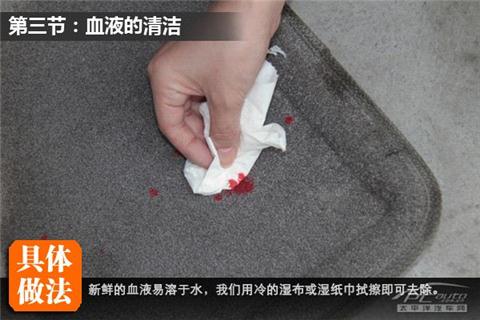 车震不怕脏,教你清洁车内污渍_汽车城网