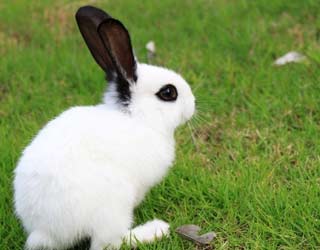 当当书城网上书店_3g书城作家收入(3)