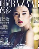 关于章子怡:彰显魅力,仪态万方的研究生毕业论文开题报告范文