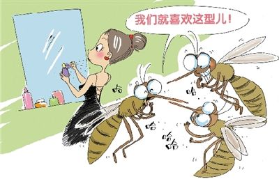 人被这种蚊子咬了以后,身上起的包比一般蚊子咬过后的包要大,要硬.